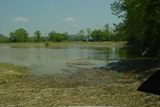 Bullitt County